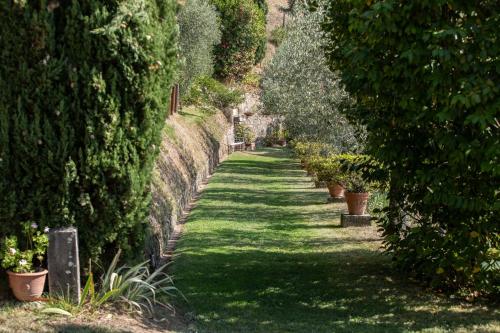 Villa Iris with Swimming Pool