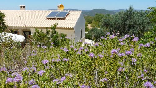 B&B Casa Encantada – Boliqueime, CO