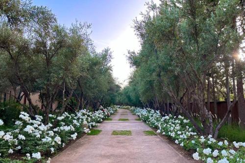 Dar Zeitoun Dar Zeitoun