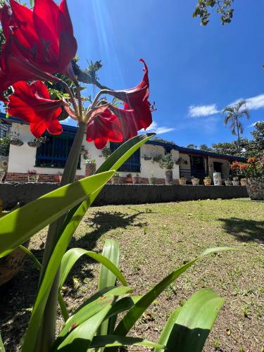 La Juanita Casa Hotel Ecológico