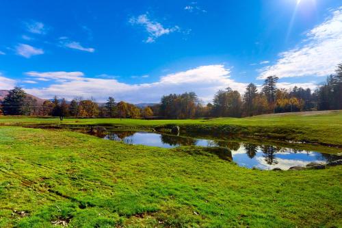 Golf and Mountain Jewel Bug