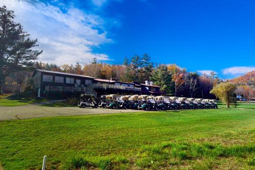 Golf and Mountain Jewel Bug