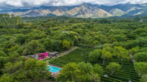 Araoz de Lamadrid Hotel&Bodega