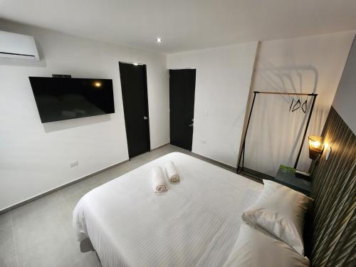 Casa Arte Coliving