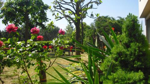 伽利略公园酒店