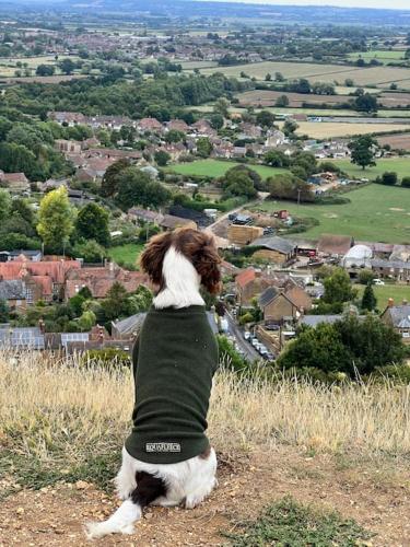 Spaniel Cottage with views of Ham hill, Stoke sub Hamdon