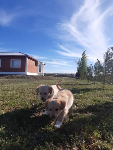 Muy Patagónica, Casa de Campo