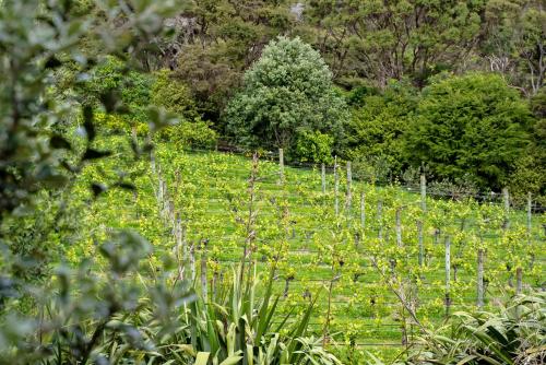 Winemakers Loft