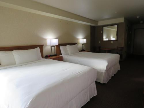 Hotel Mar Vista in 洋濱市