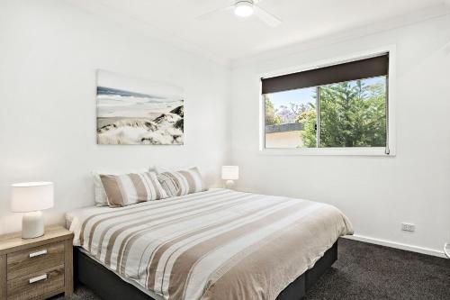 Shoalax at Shoal Bay - image 2