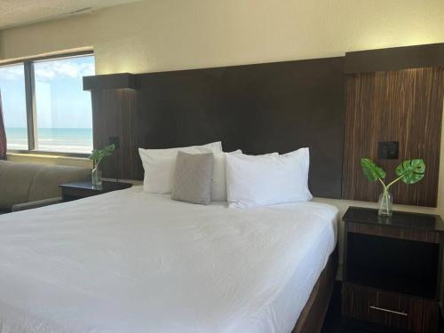 Private Studio: 1kingbed w/Ac+Wi-fi*137 in Daytona Beach, USA