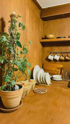 Private House in Mapo, Soul (fotografie 7)