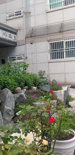 Ireh House, Seul (foto 5)