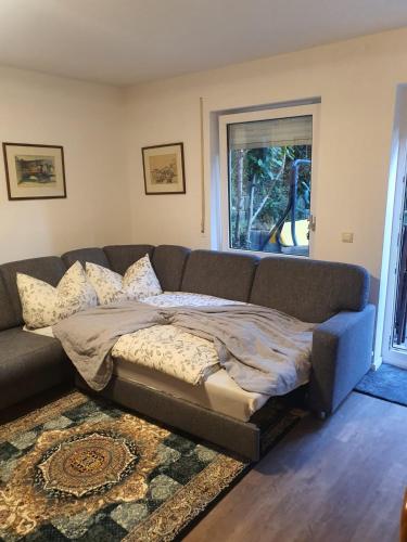 One-Bedroom Apartment image 8