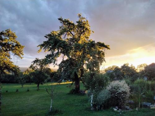 Вид, Gemütlichkeit am Vierkanthof - Apartment 1 (Gemutlichkeit am Vierkanthof - Apartment 1) in Лоіперсдорф