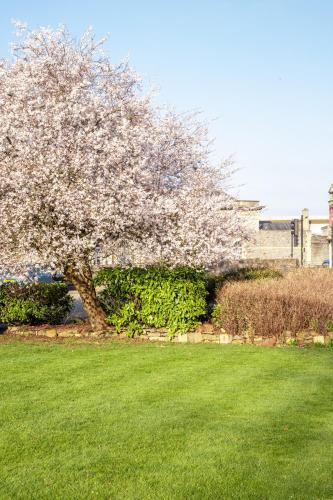 Arnos Manor Hotel - image 12