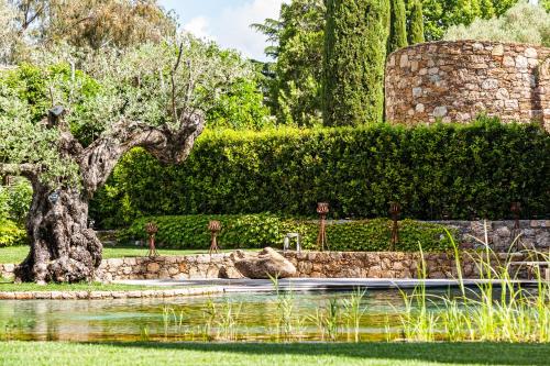 Domaine Les Mésanges - image 14