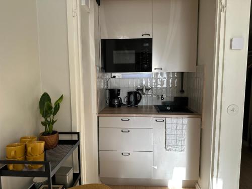 Instalaciones, Galle BnB boheemi kaksio in Pori