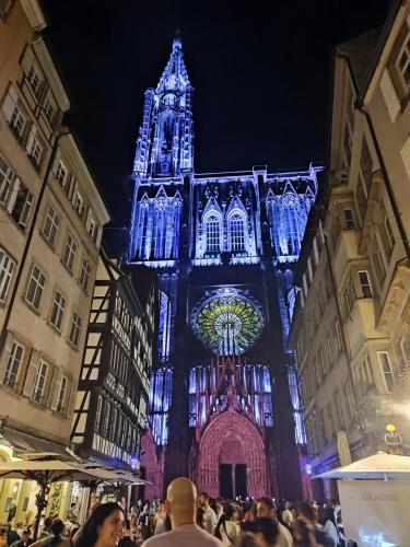 appartement à 10 minutes du célèbre marché de Noël de Strasbourg - Location saisonnière - Schiltigheim