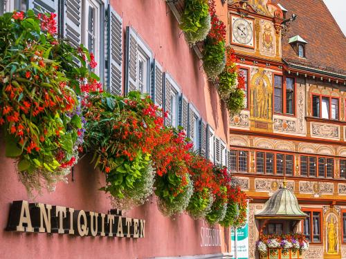 City Apartment Tübingen-Lustnau in Tübingen, Deutschland