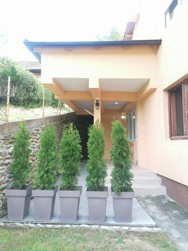 Ieeja, Studio sa francuskim i pomoćnim ležajem - Romansa (Studio sa francuskim i pomocnim lezajem - Romansa) in Ribare