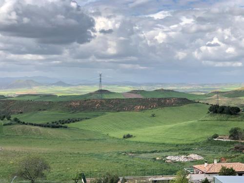 EL CASTILLO DE CIRUELAS