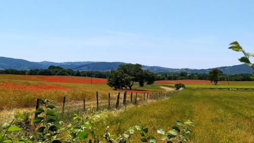 Agriturismo La Dependance