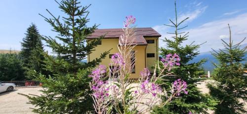 . Pension Valea Mariei