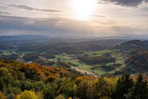 Styria Estate, near Terme Olimia Spa Resort