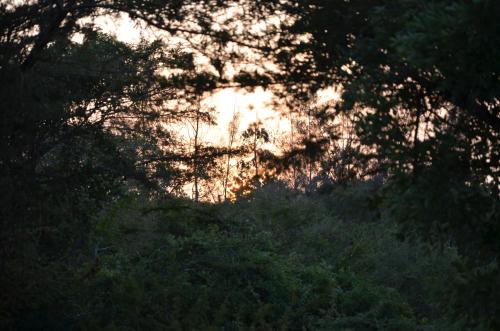 酒店周边, Arcadia East Africa Bush Camp in 奇利菲