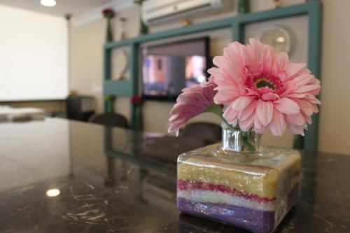 Plaza Home photo 2