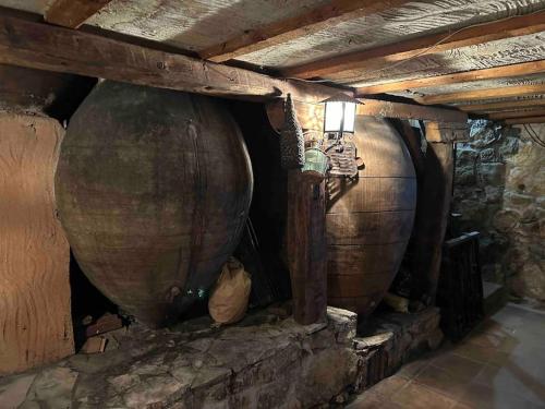 Bodega típica en El Molar sin camas ni dormitorios