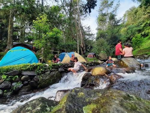 view cemping glamping