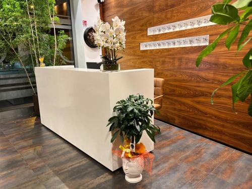Hotel Parnaso in 特雷拜薩斯