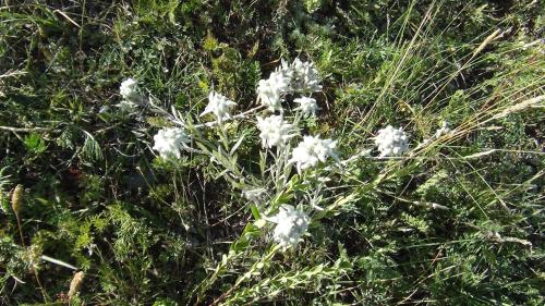 My Mongolia Eco Ger Camp My Mongolia Eco Ger Camp