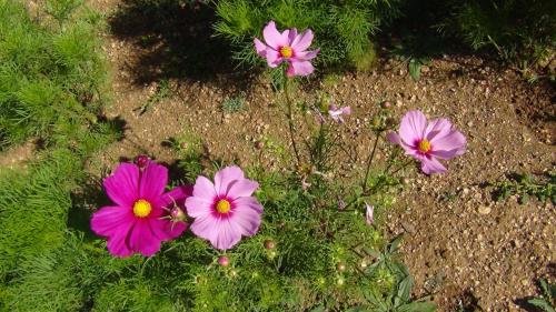 My Mongolia Eco Ger Camp My Mongolia Eco Ger Camp