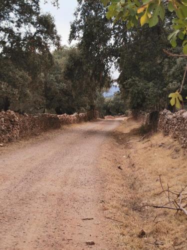 Casa rural Cañaveral de León