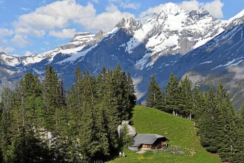 Hotel Alfa Soleil - image 12