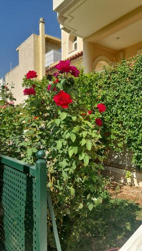 Evi's & George's Home - Tap to explore photos