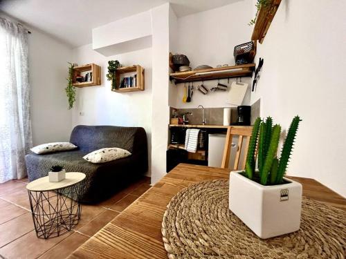 La Tejita Studio 1