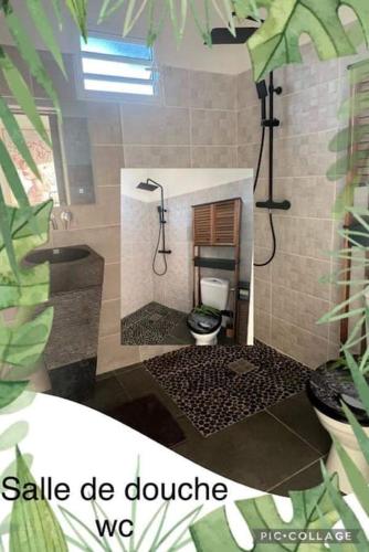 Baño, Studio La Normantillaise in Petit-Bourg