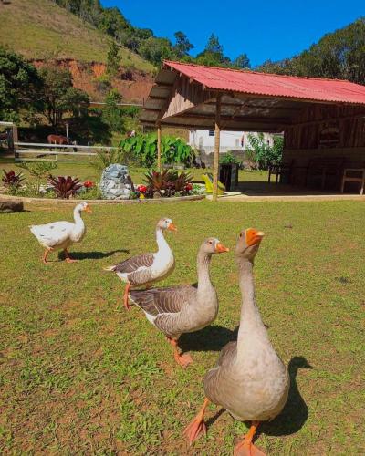 Hotel Fazenda Rancho Mineiro