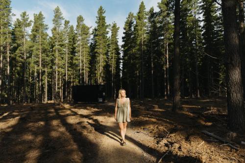 สภาพแวดล้อมโดยรอบ, CABN Kuitpo Forest in แมคลาเรนเวล