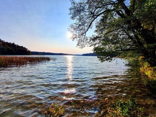 Poddasze, Zblewo (photo 8)