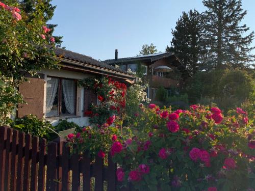  Jolie chambre dans chalet, Pension in Vaud bei Gimel