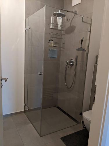 EITHER Private 2B2B OR Shared 1B1B, Luxury, Bright, Spacious, Berlín (fotografie 4)