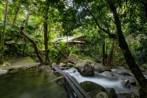 B&B Diwan - Daintree Secrets Rainforest Sanctuary - Bed and Breakfast Diwan