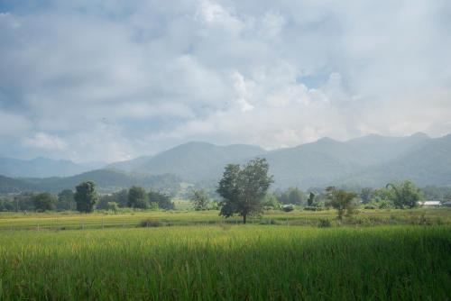 Paddy Fields Haven - Natures Nest