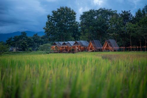 Paddy Fields Haven - Natures Nest