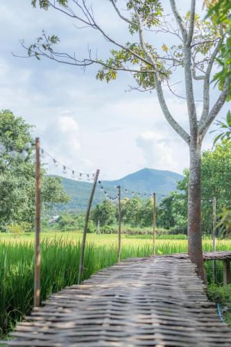 Paddy Fields Haven - Natures Nest